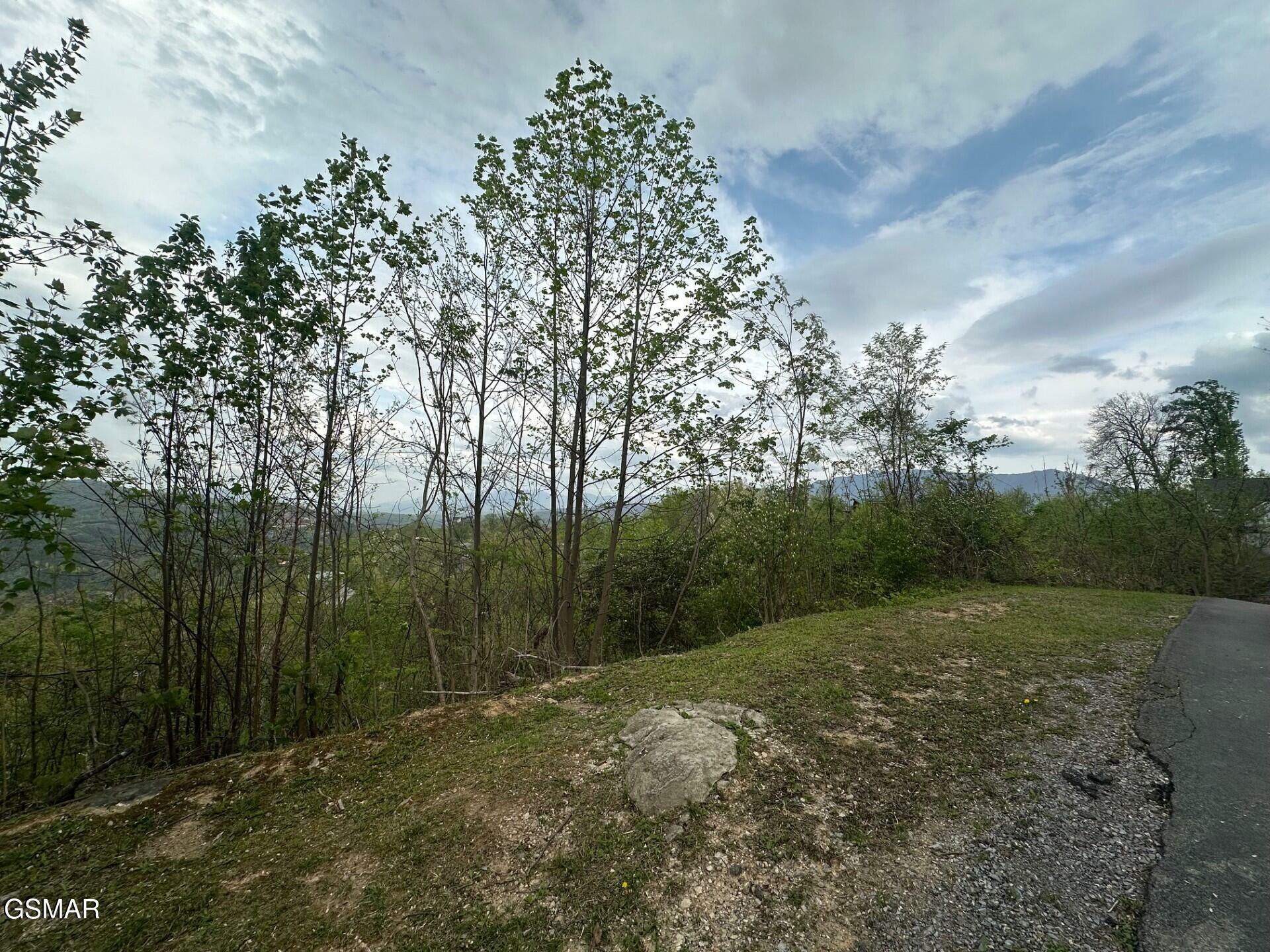 Property Photo:  Lot 304 Chestnut Drive  TN 37738 