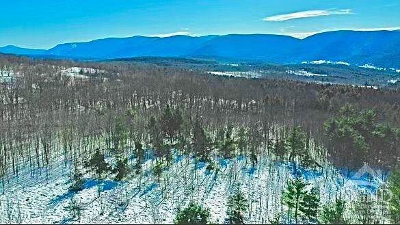 Property Photo: 0 Bruce Cross Dr NY 12468