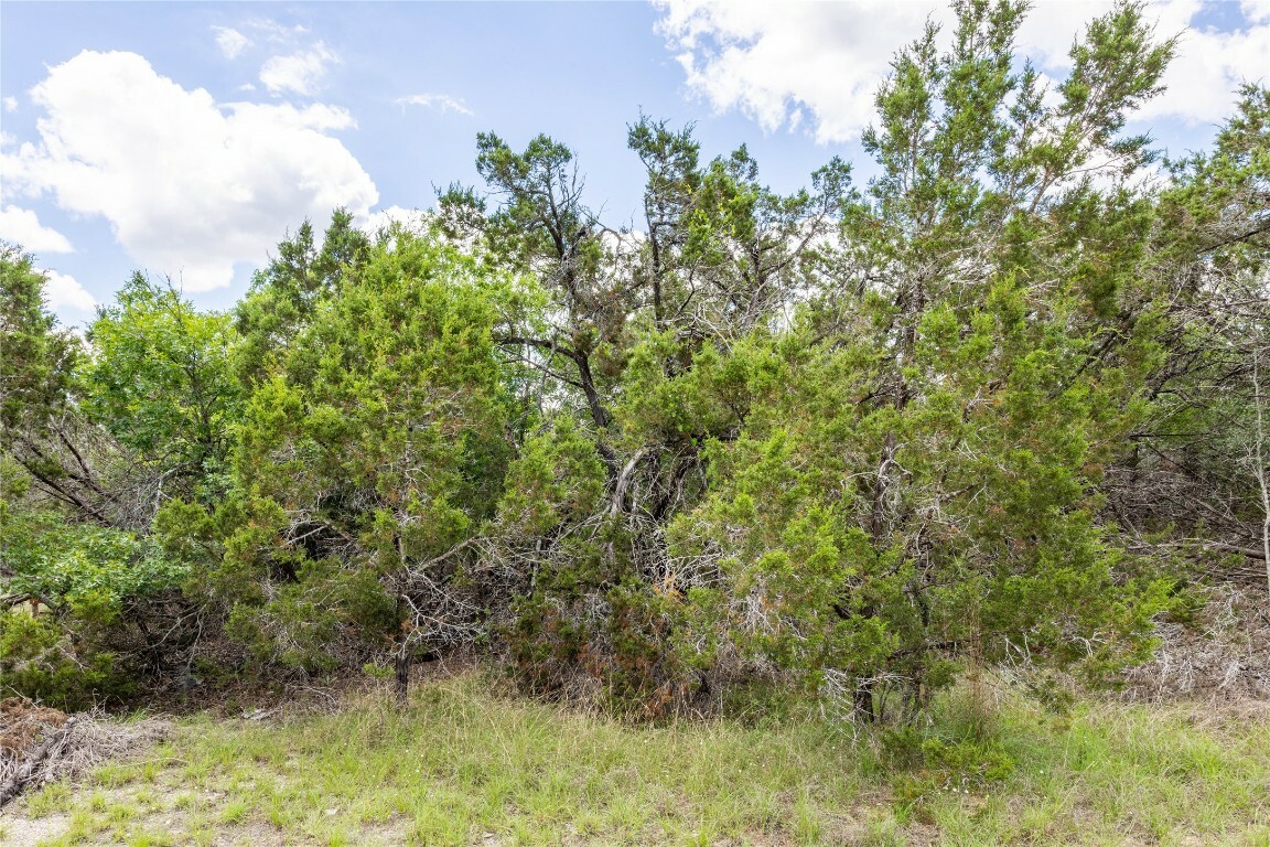 Property Photo: Tbd Cheyenne Trail Trail TX 78676