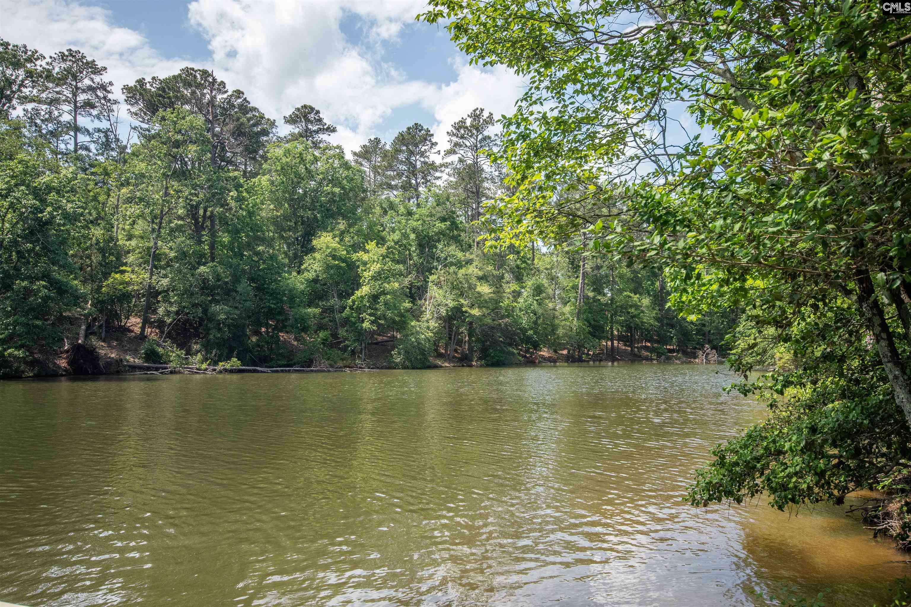 Property Photo: 281 Osprey Pointe SC 29127