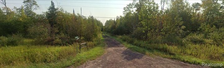 Property Photo:  32954 Kingbird Lane  MI 49953 8001