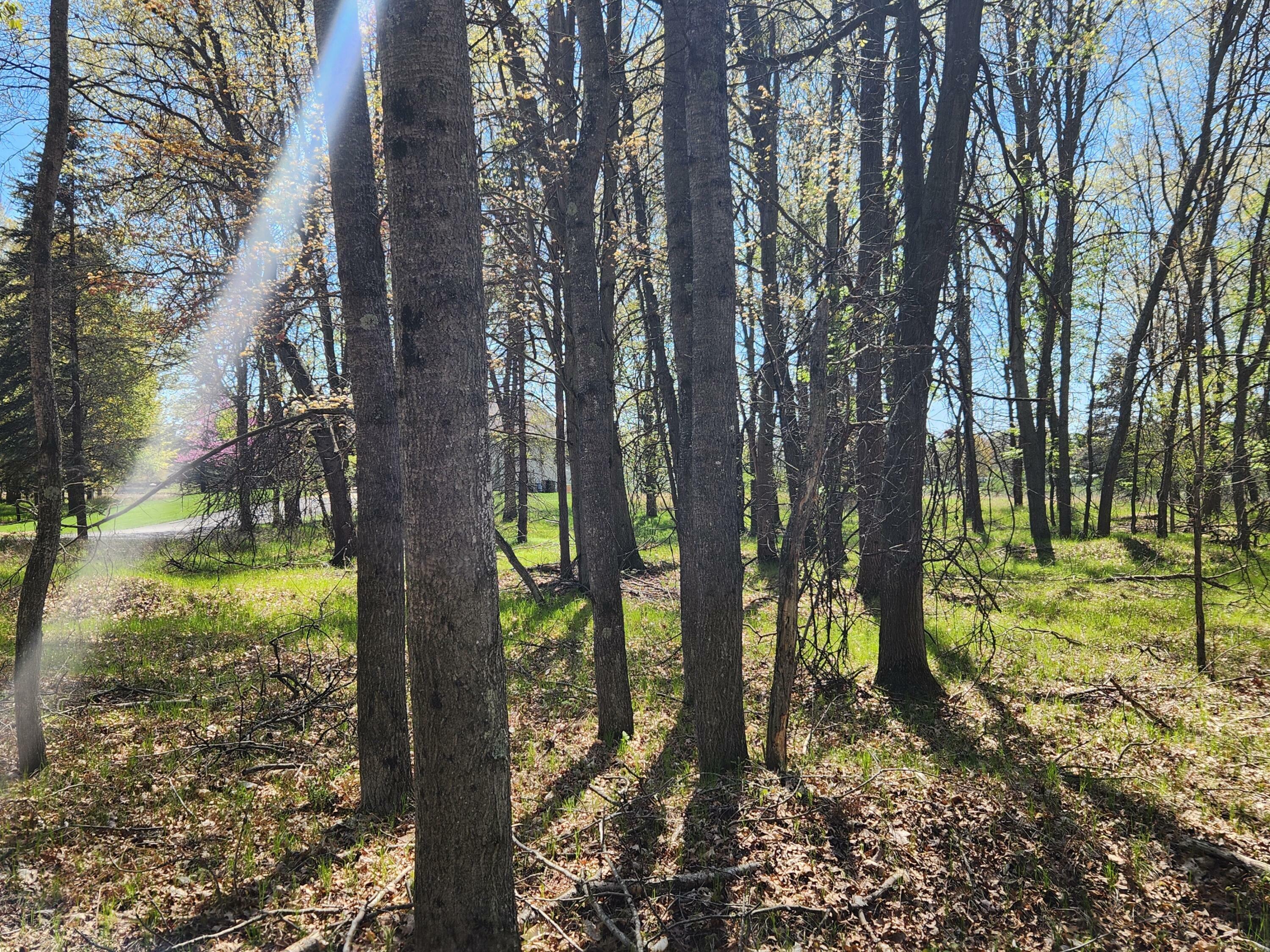 Property Photo: 6923 Abbey Lane MI 49346