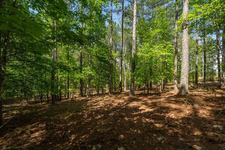 Lot 132 Sandy Lake Lane  Blairsville GA 30512 photo