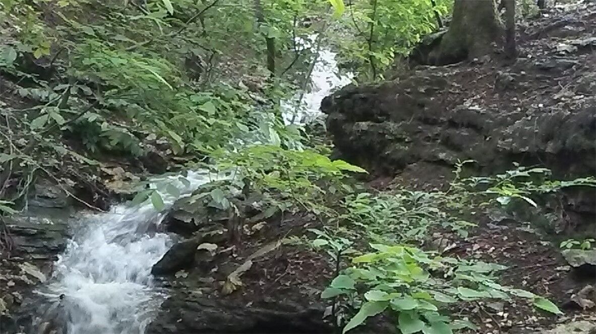 Property Photo:  1451 County Road 266  AR 72631 