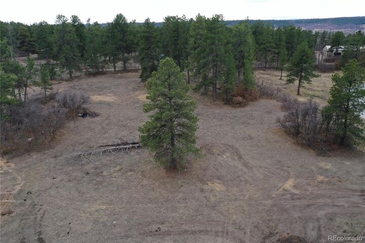 Property Photo:  1561 Arrowpoint Court  CO 80116 