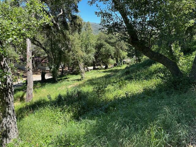 Property Photo: 290-292 Rosario Park Road CA 93105