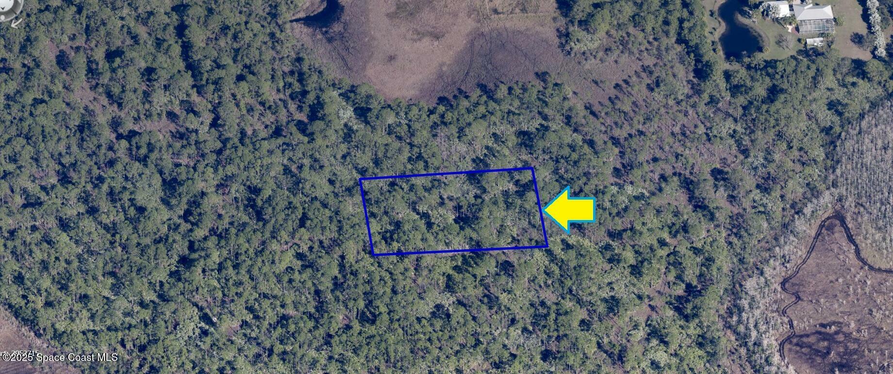Property Photo: 0000 No Access S Of Grant Road FL 32949