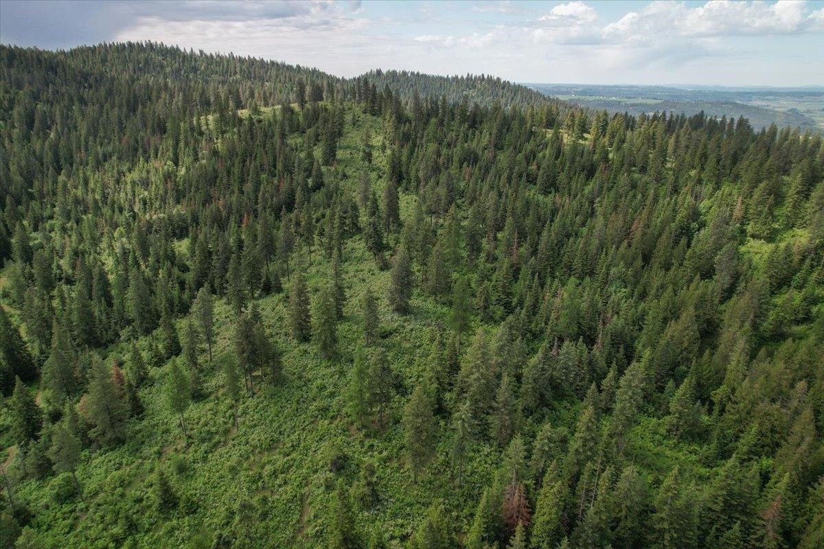 Property Photo: Nna E Bill Gulch Rd WA 99021