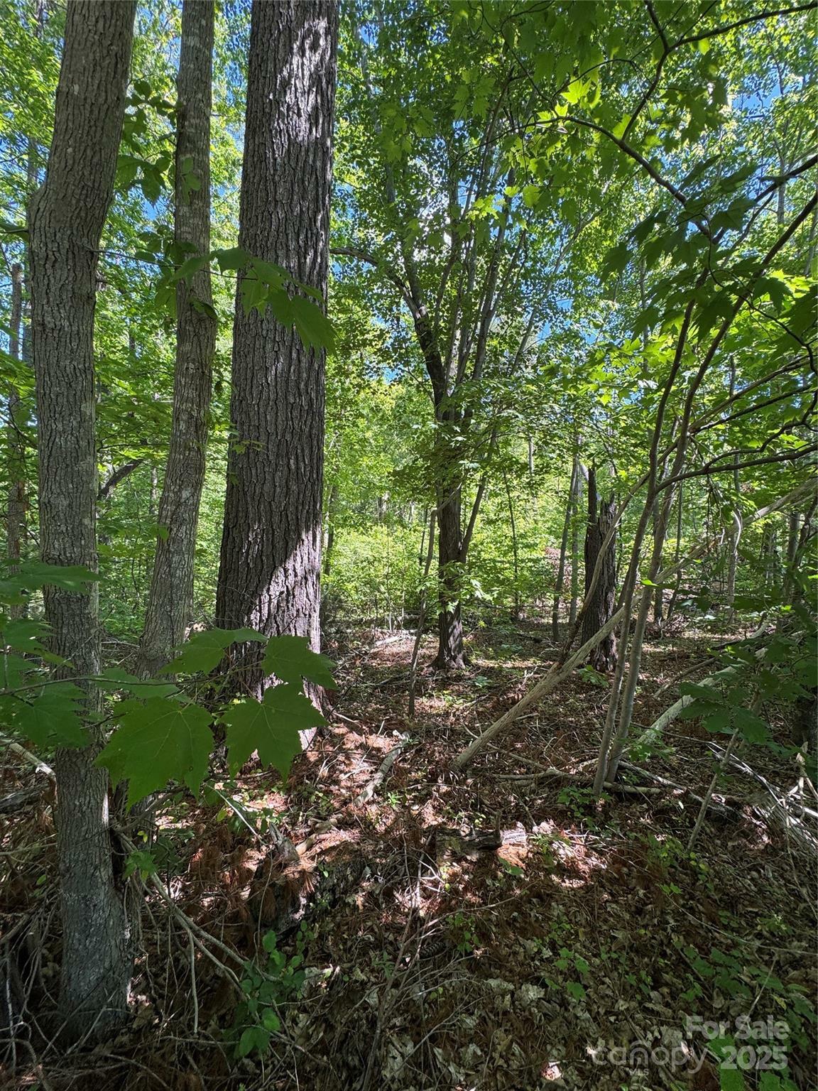 Property Photo: 0 Creekwood Drive NC 28655
