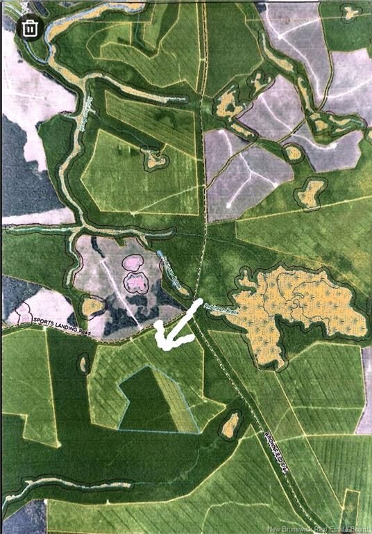 Property Photo:  61 Acres Crown Land  NB E1X 2M8 
