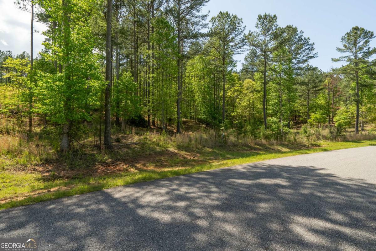 Property Photo: Lot 132 Sandy Lake Lane GA 30512