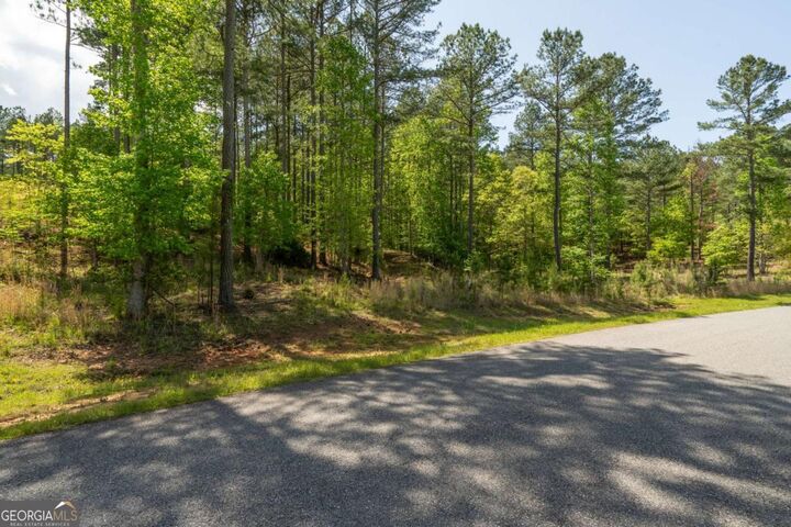 Lot 132 Sandy Lake Lane  Blairsville GA 30512 photo