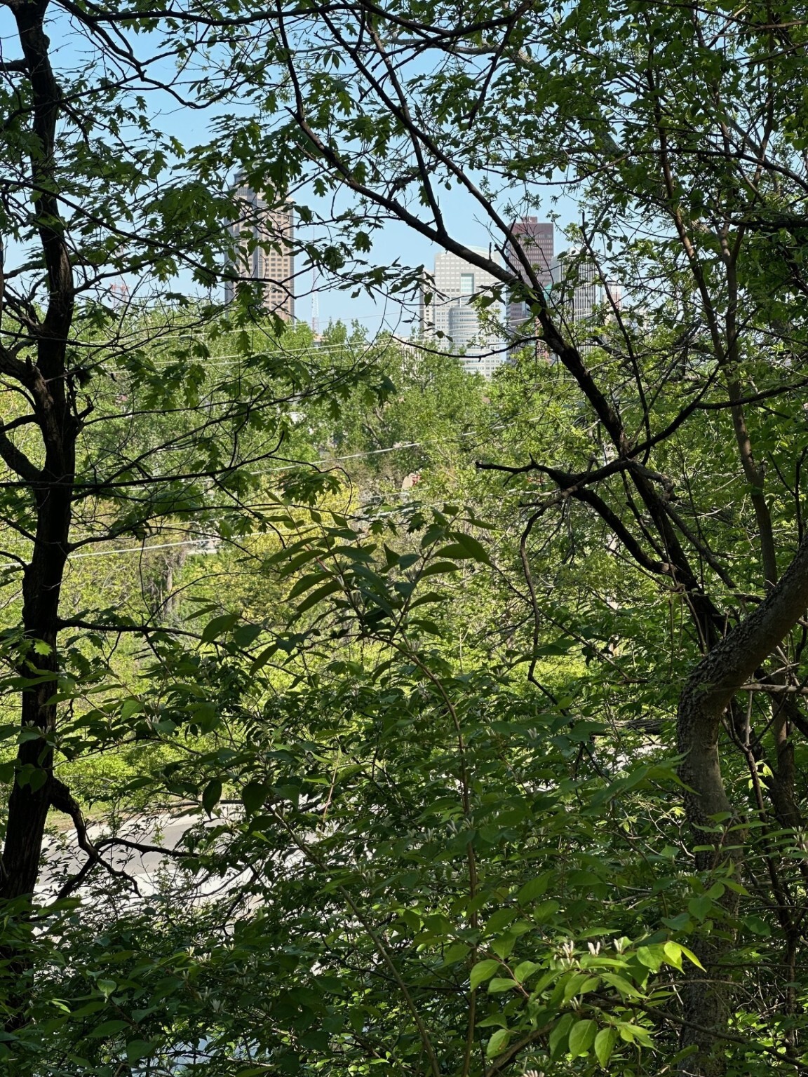 Property Photo: 720 Monona Avenue IA 50315