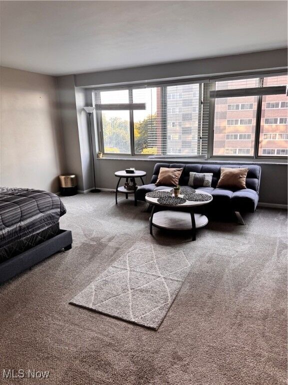 Property Photo: 12520 Edgewater Drive 702 OH 44107
