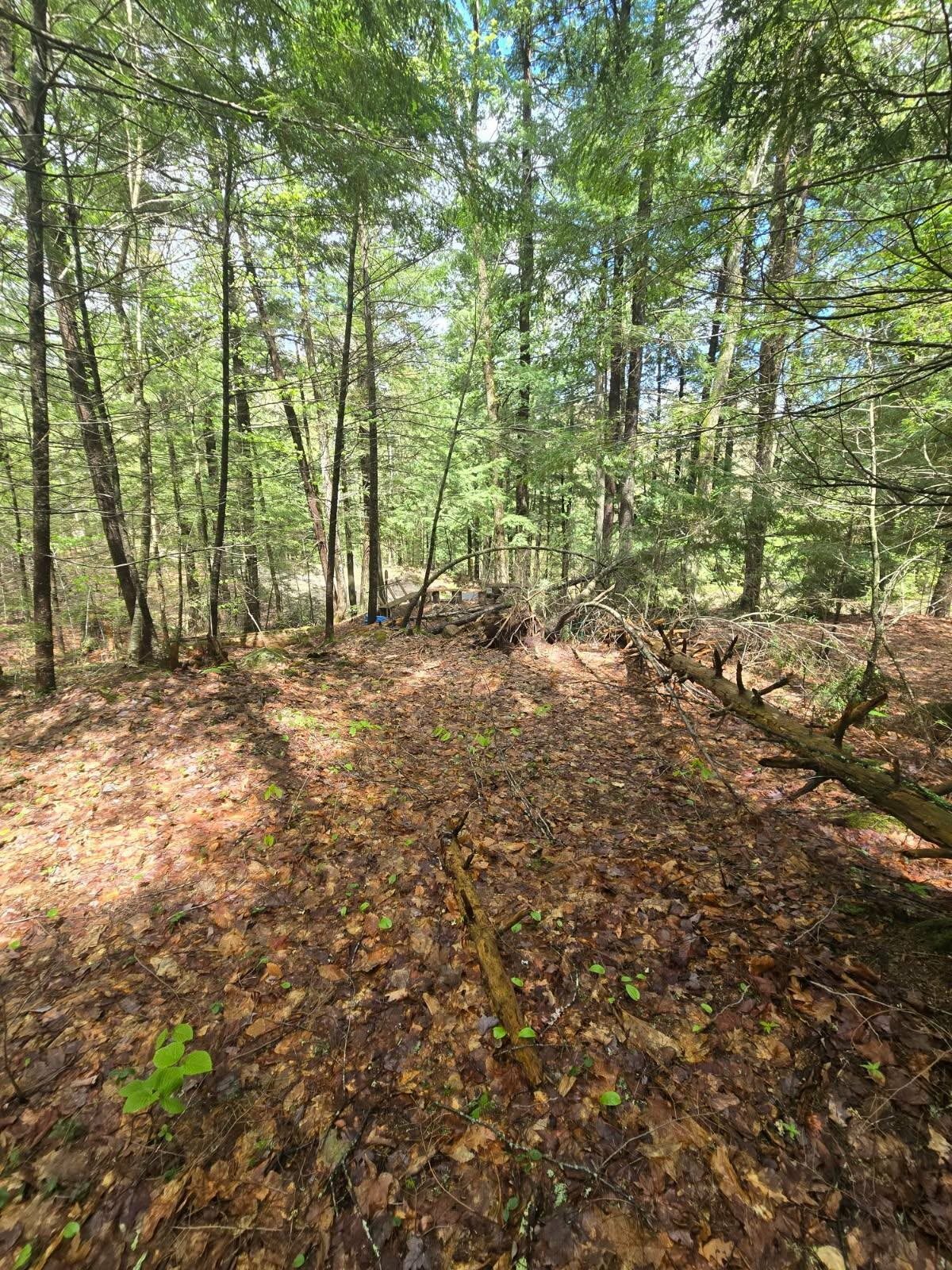 Property Photo: 495 Durrell Road NH 03886