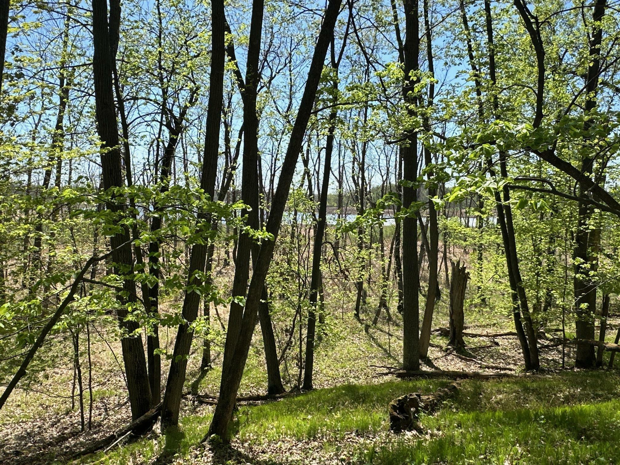 Property Photo:  Xw Tamarac Road  MN 56359 