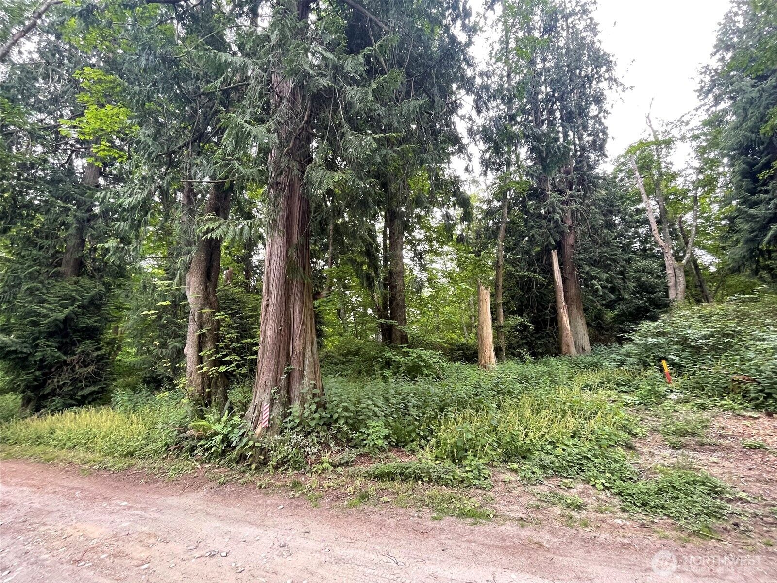 Property Photo: 52 F Saratoga Drive WA 98206