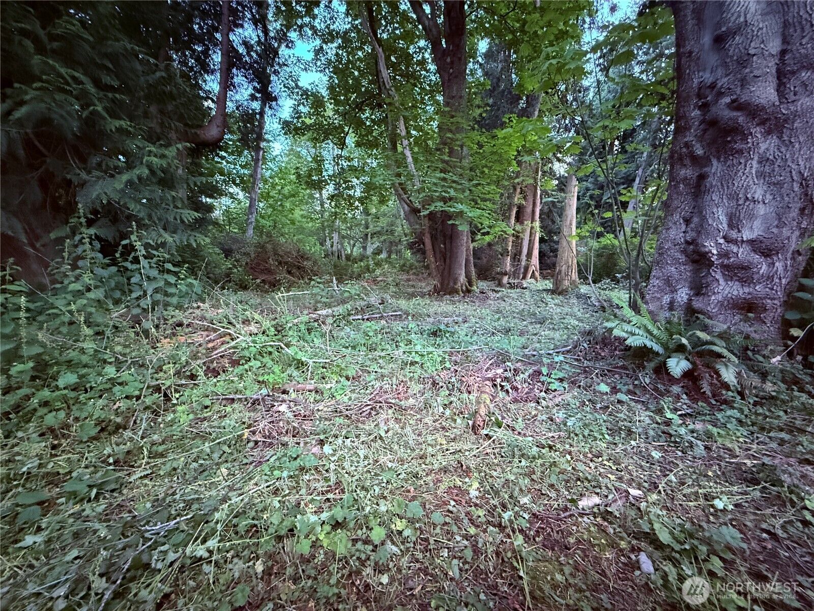 Property Photo:  52 F  Saratoga Drive  WA 98206 