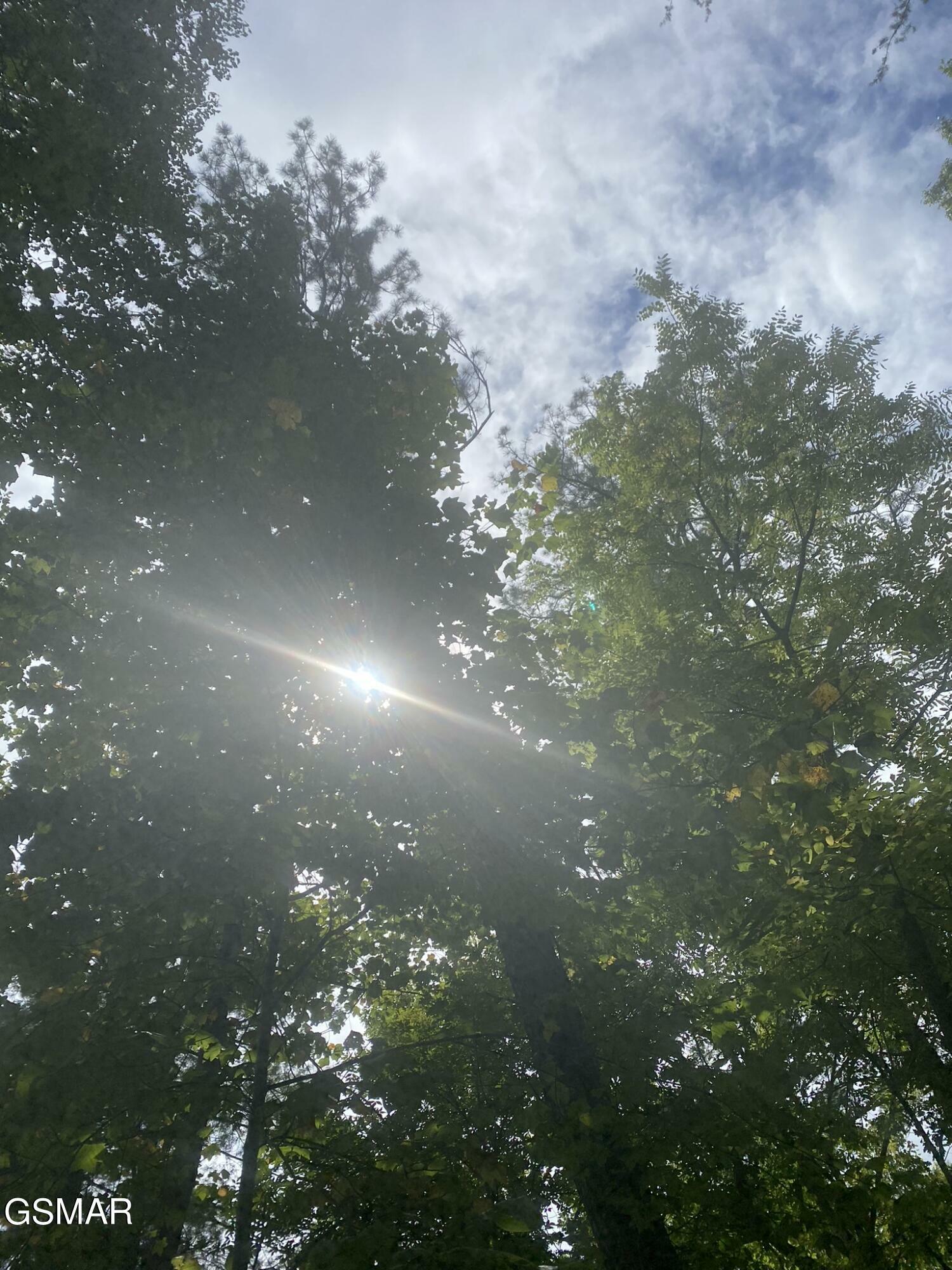 Property Photo: Lot 9 Sunset Road TN 37876