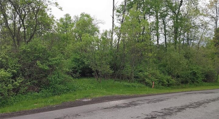 Property Photo: 0 Walpole Rd NY 13073