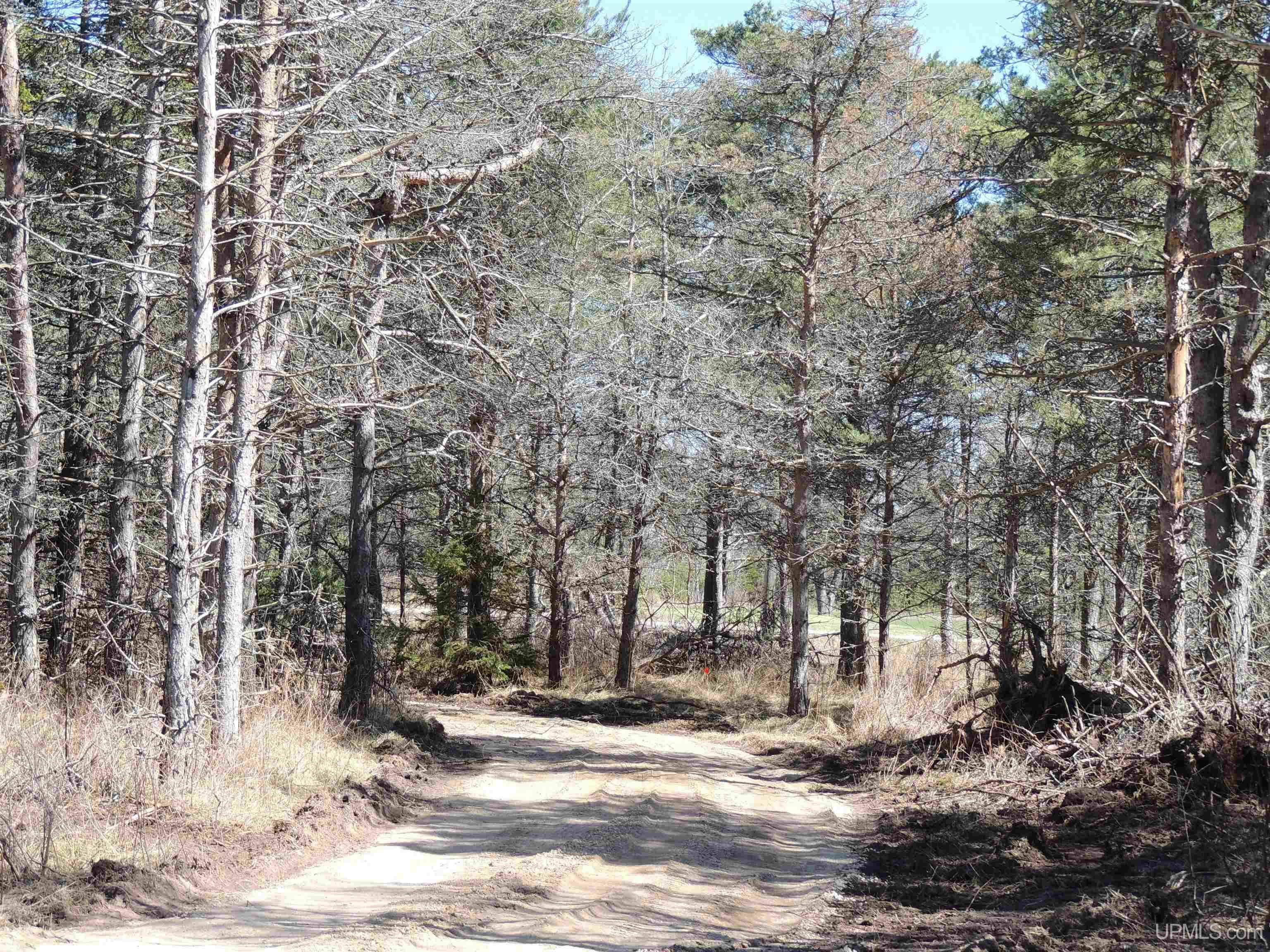 Property Photo: 8653 Ll Road MI 49878