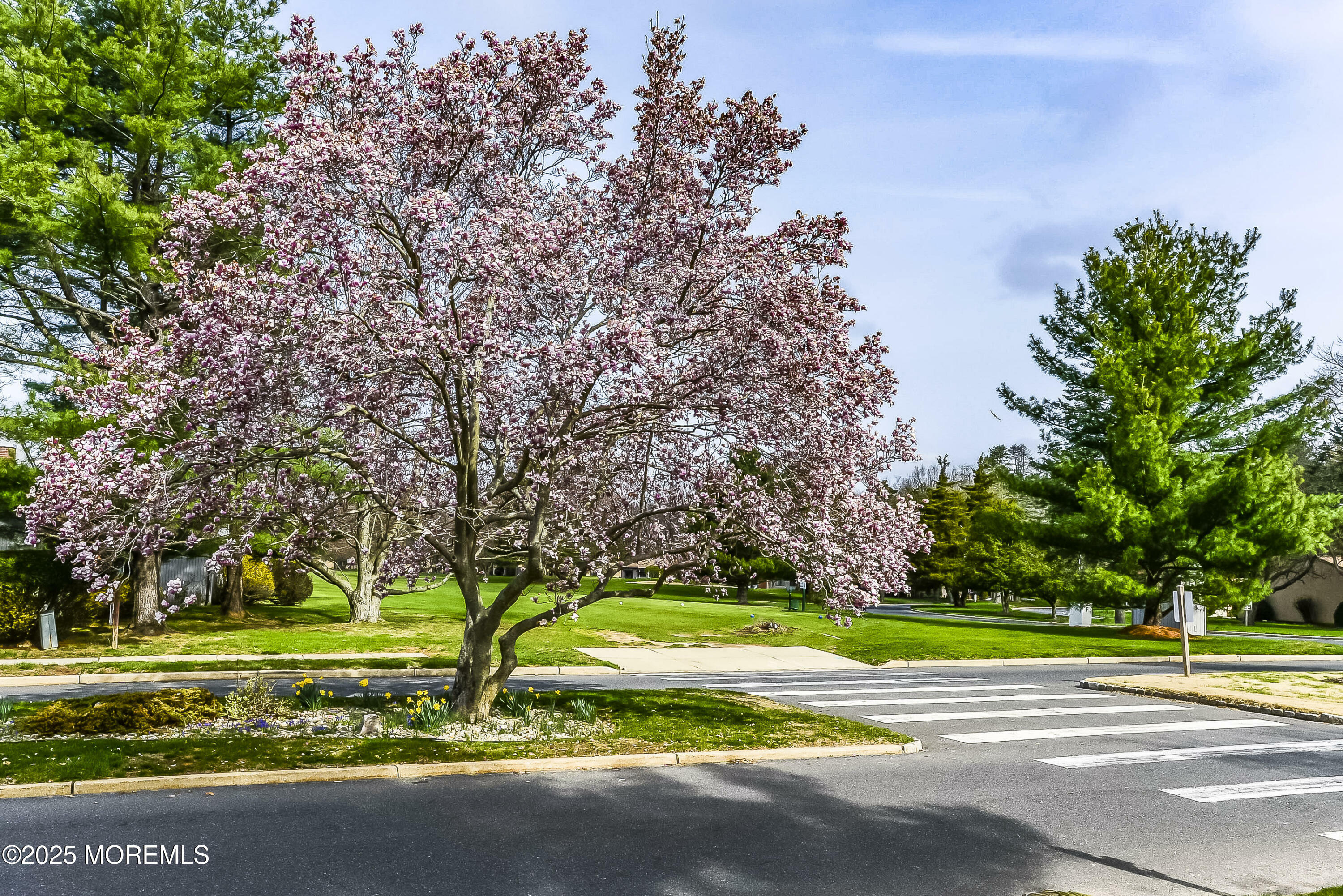 Property Photo: 30 Dickinson Court NJ 07701