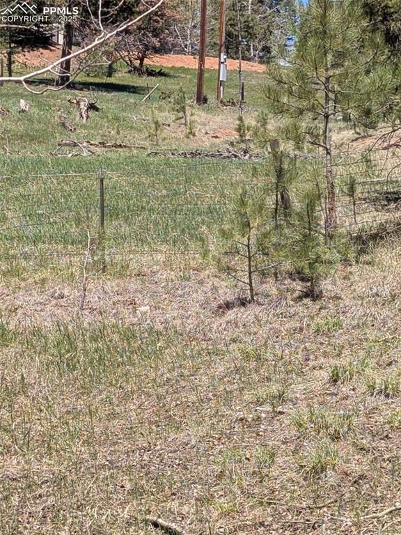 Tbd Ute Trail  Woodland Park CO 80863 photo