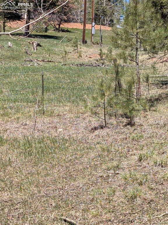Property Photo:  Tbd Ute Trail  CO 80863 