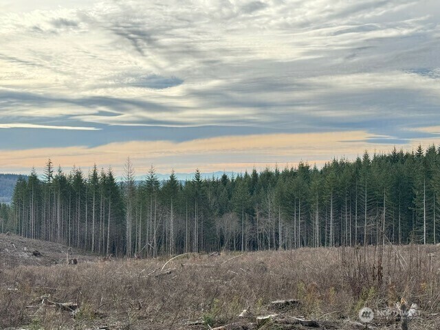 Property Photo: 0 August Road WA 98570