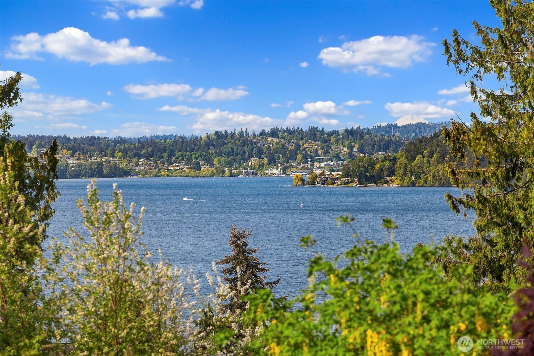 Property Photo: 10762 Exeter Avenue NE WA 98125