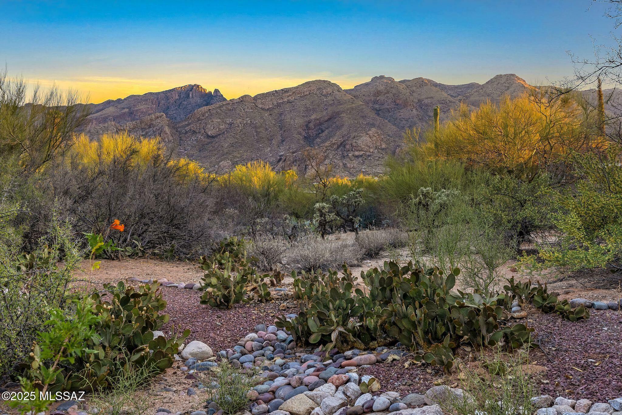 Property Photo: 4921 E Camino De Los Olivos AZ 85718