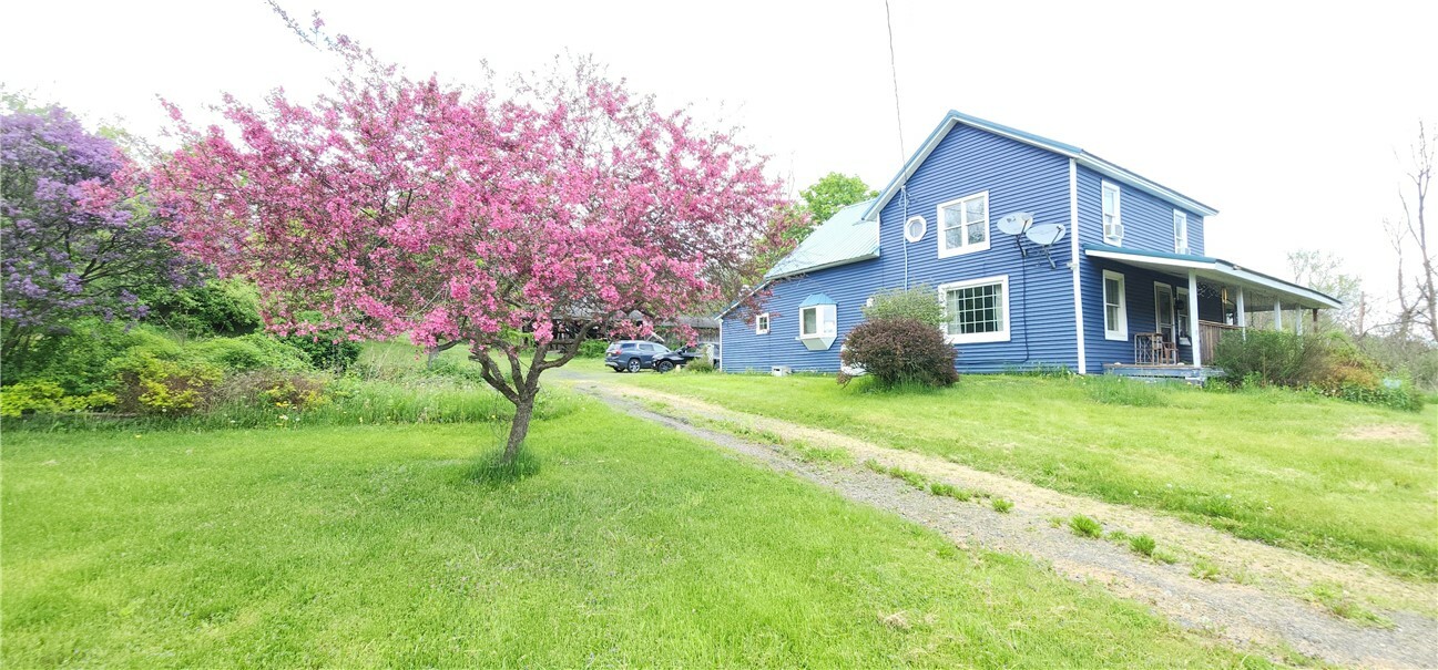 656 Candor Rd  Spencer NY 14883 photo
