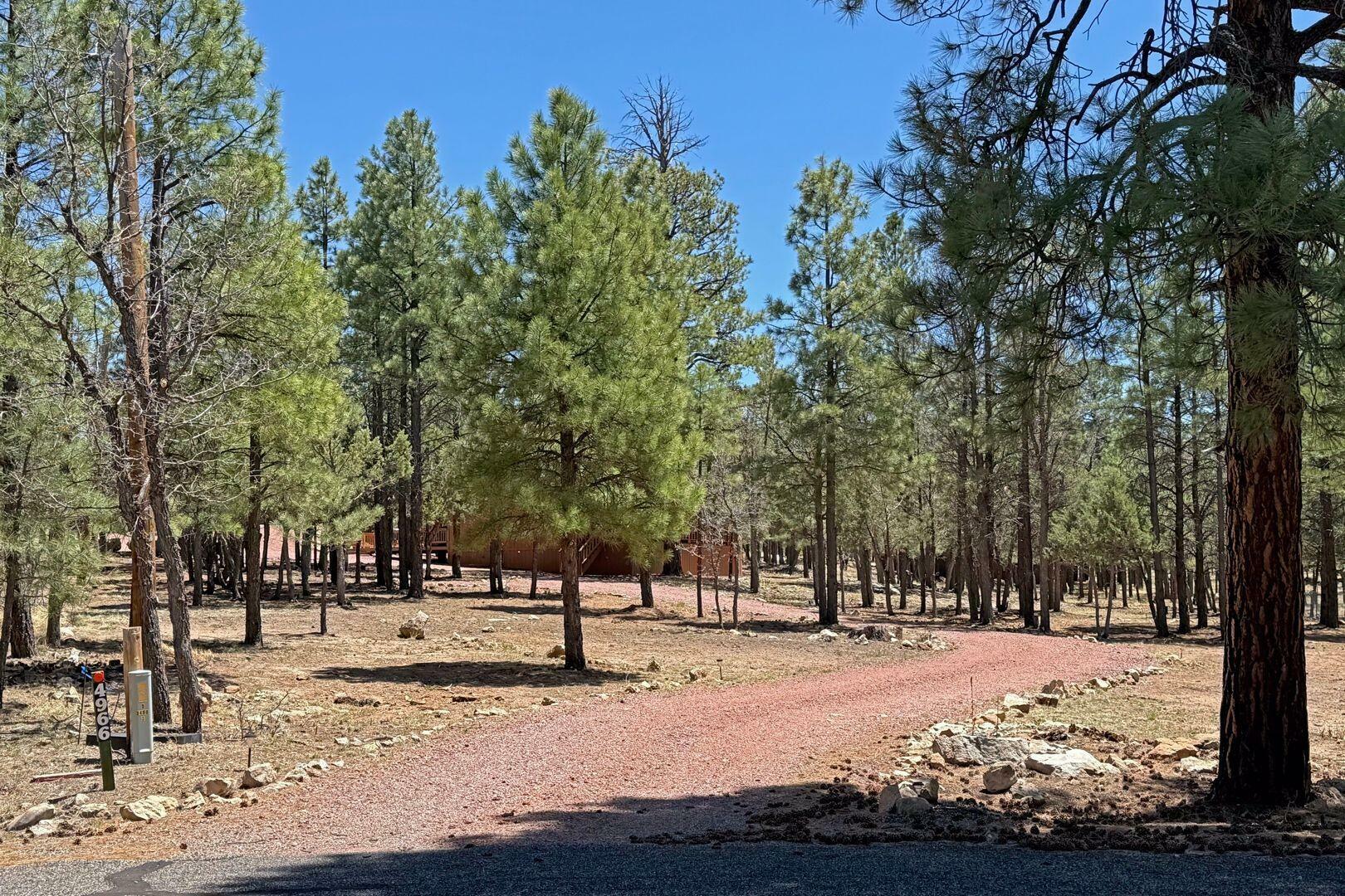4966 Trail Circle  Happy Jack AZ 86024 photo