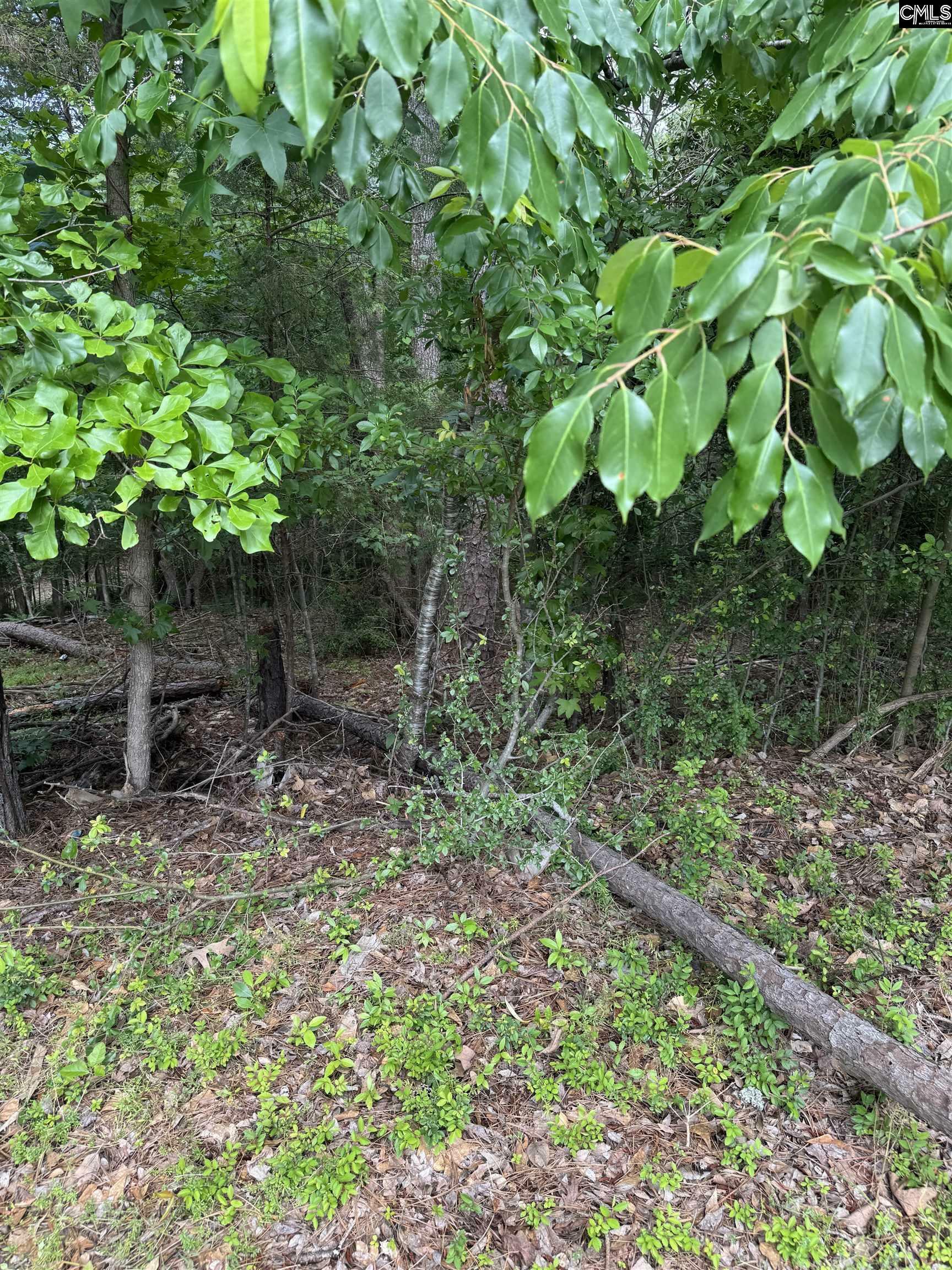 Property Photo: 9 Ascot Ridge Ct SC 29063