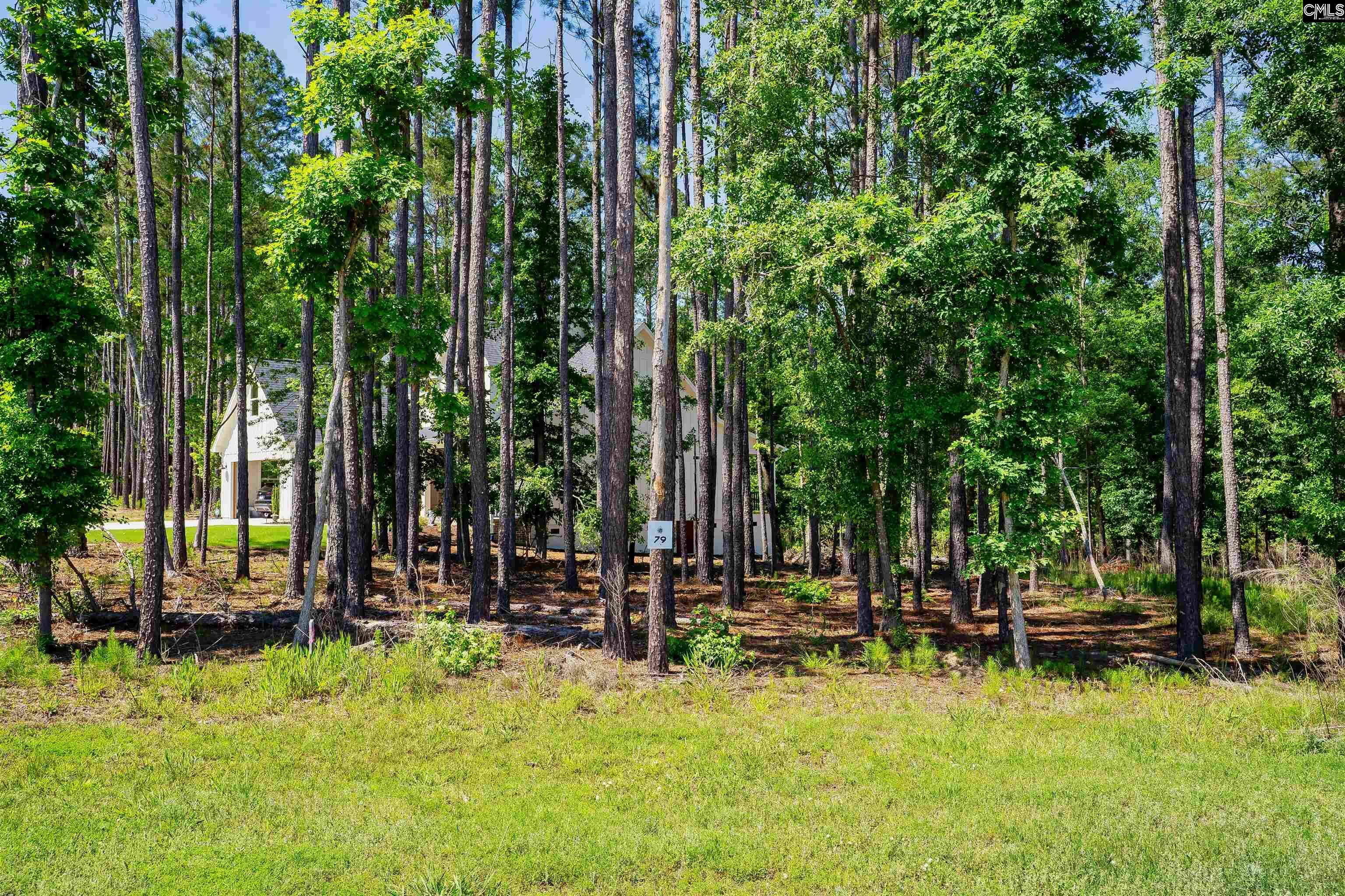 Property Photo: Lot 79 Timbertrail SC 29127