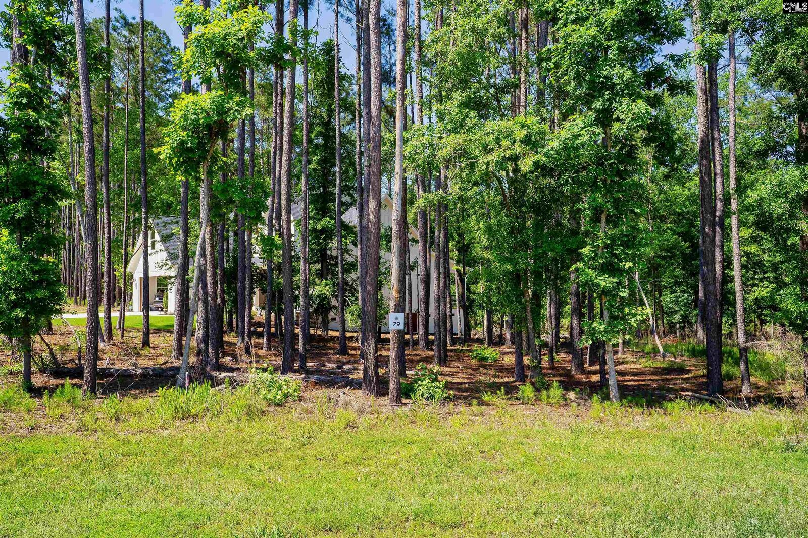 Property Photo:  Lot 79 Timbertrail  SC 29127 