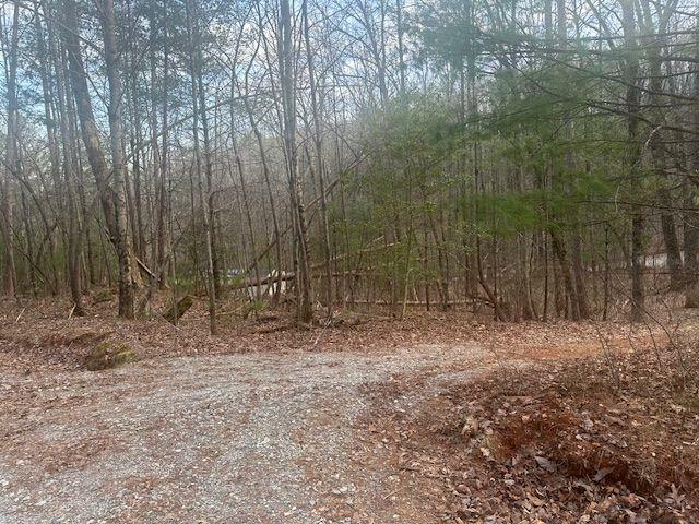 Property Photo: 38 &Amp51 Mountain Crest Road GA 30534