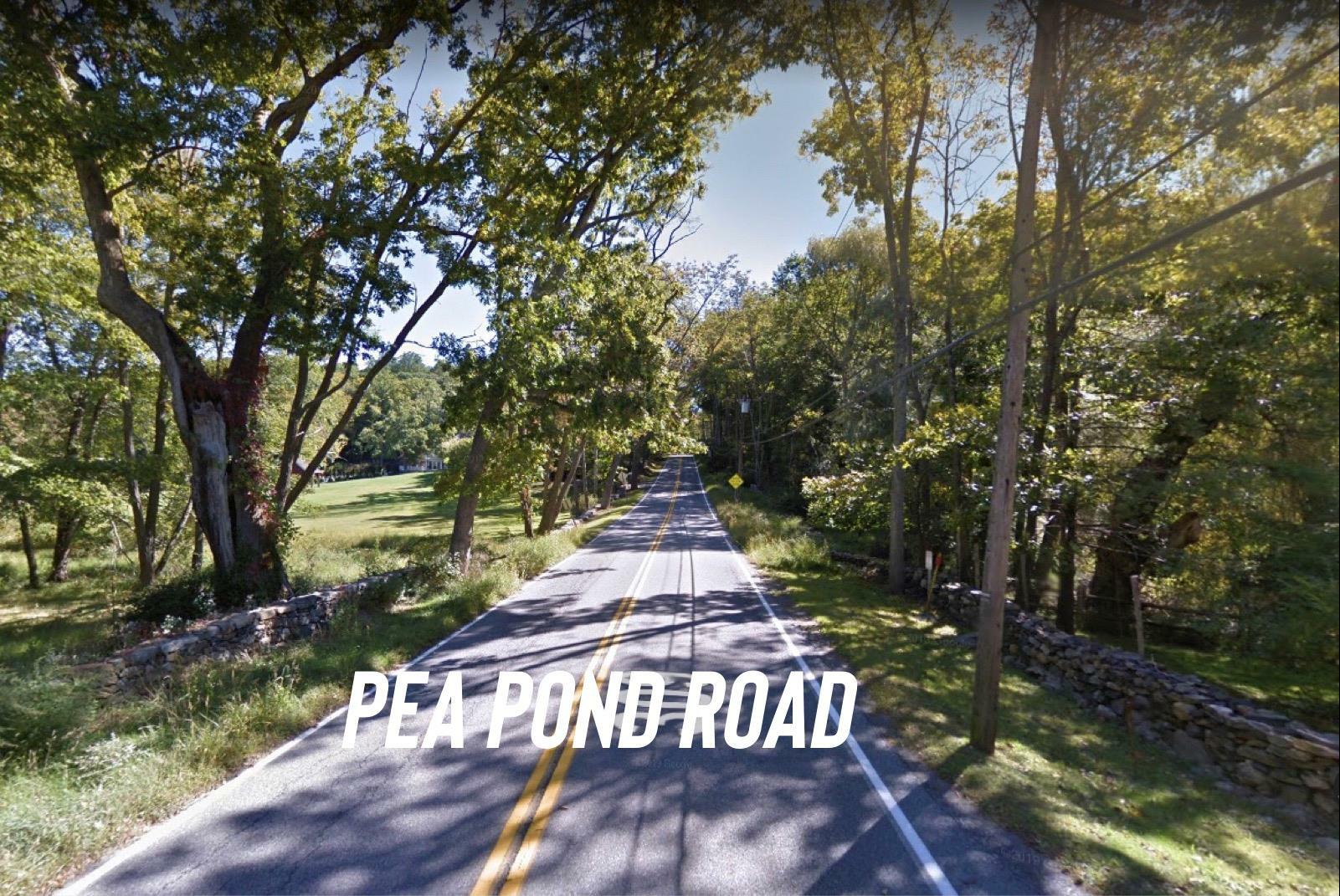 Property Photo: 371-383 Pea Pond Road NY 10536