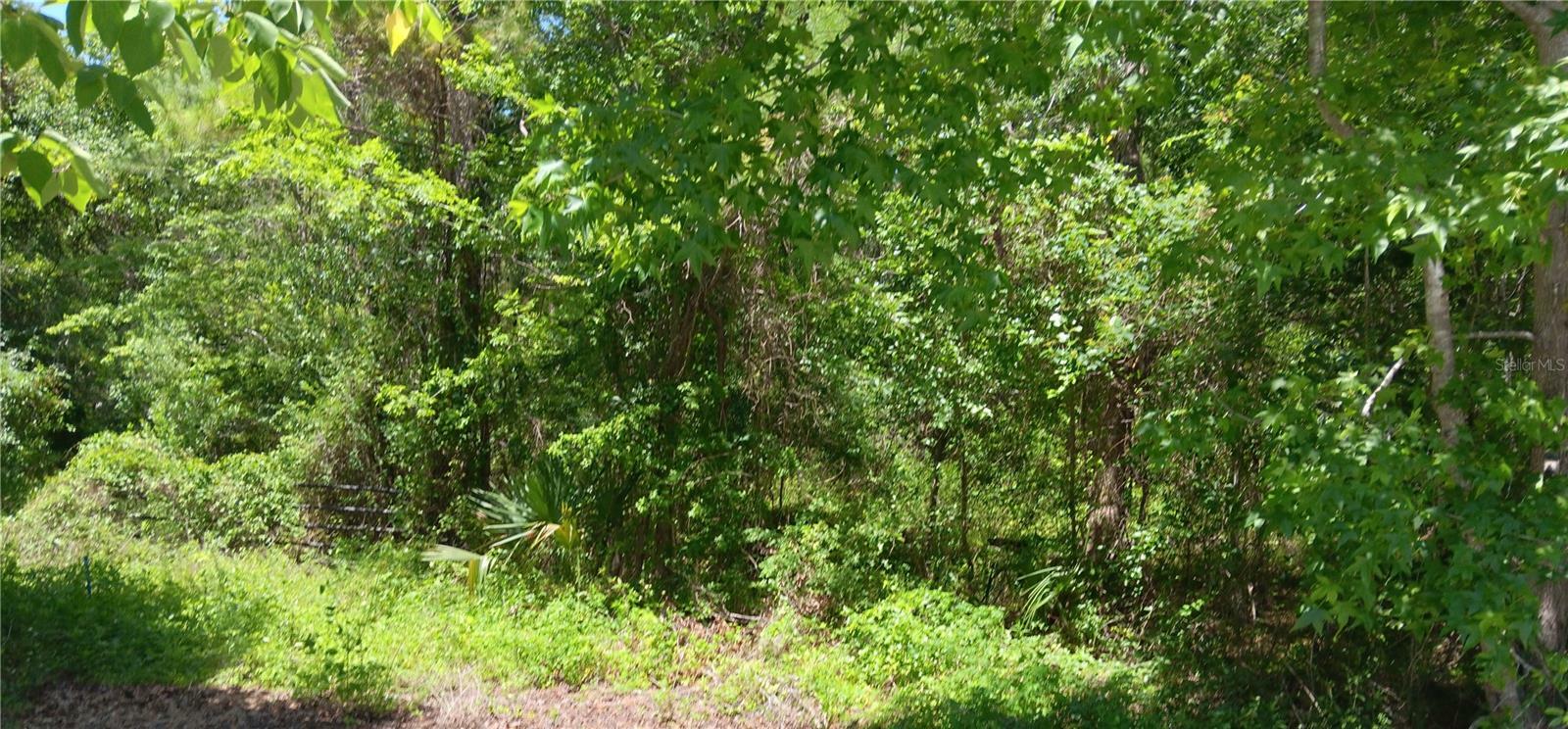 Property Photo: 0 NW 82 Court FL 34482