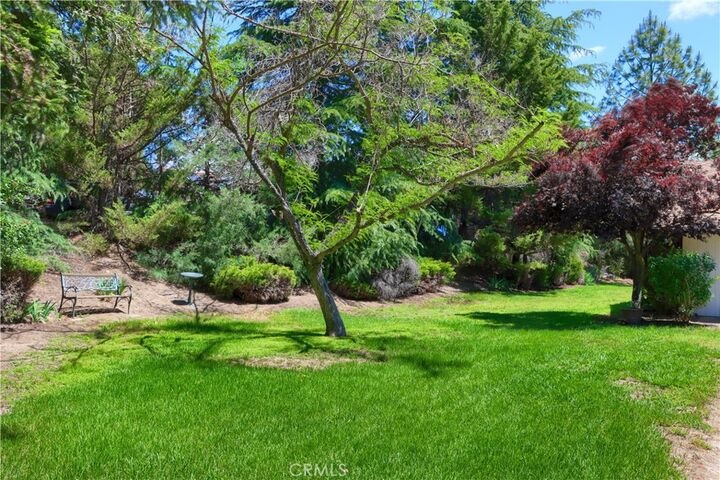 Property Photo: 42177 Lone Olive Lane CA 93601