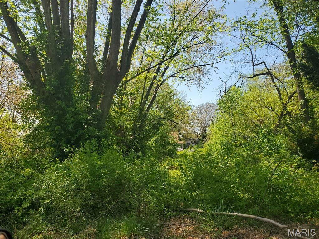 715 Ann Street  Belleville IL 62220 photo