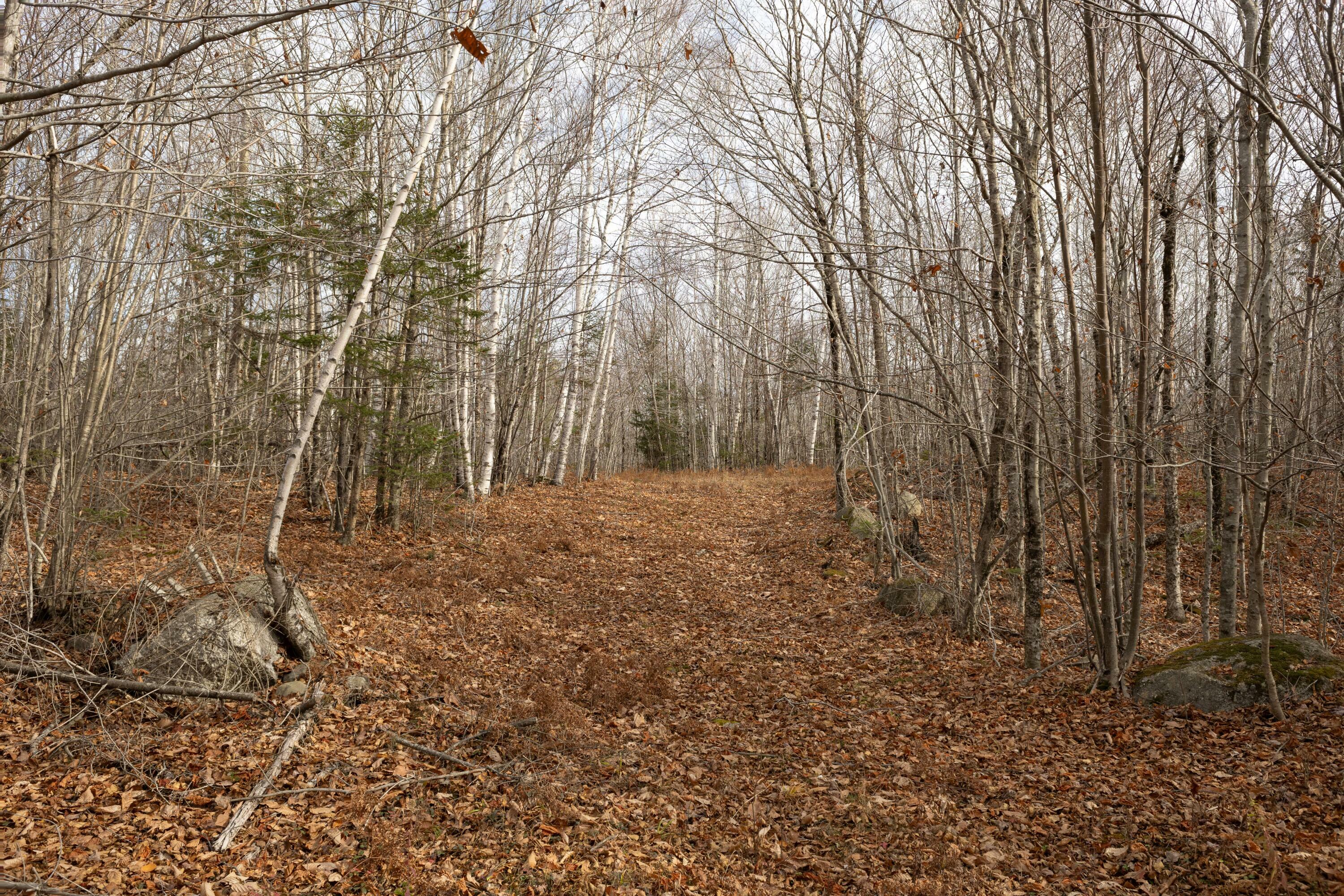 Property Photo: M6, L3 Beech Hill Pond Road ME 04429
