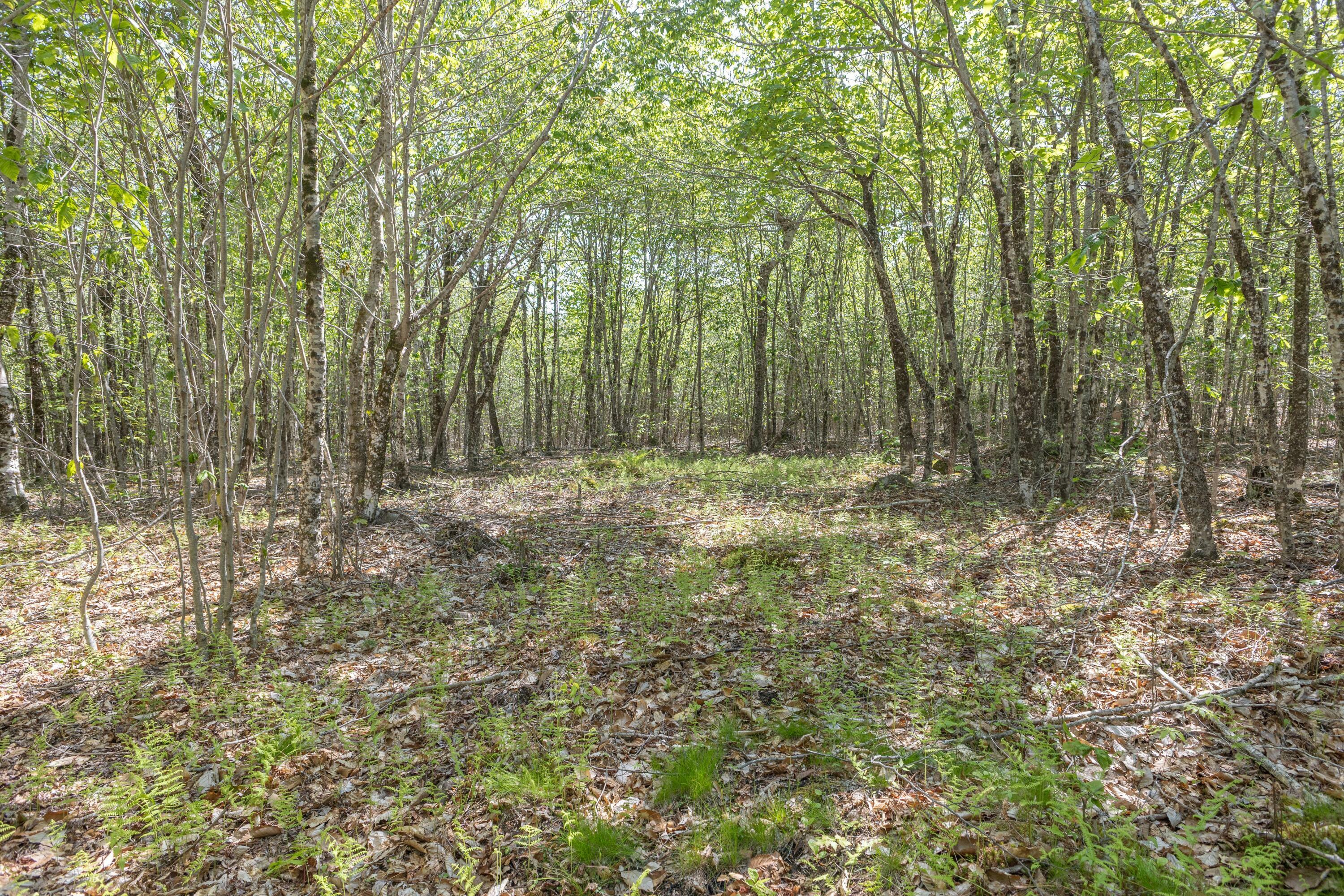 Property Photo: M6, L3 Beech Hill Pond Road ME 04429