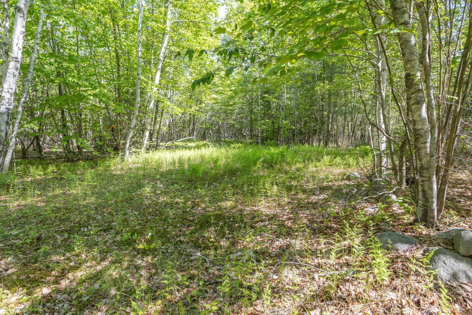 Property Photo: M6, L3 Beech Hill Pond Road ME 04429