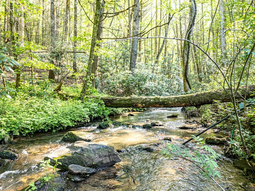 Property Photo: 8556 Hwy 2 GA 30541