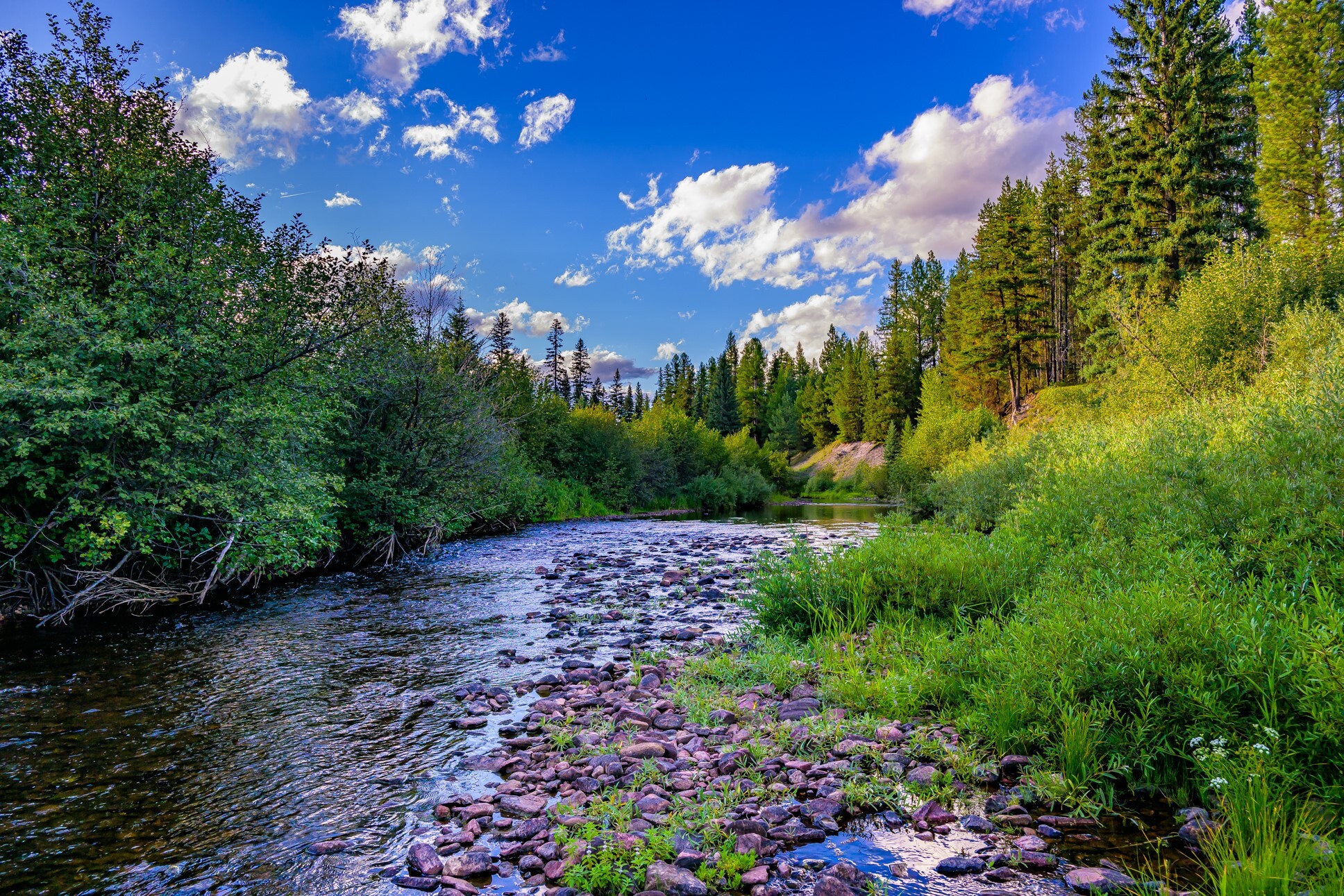 Property Photo:  002 Route 83  MT 59868 