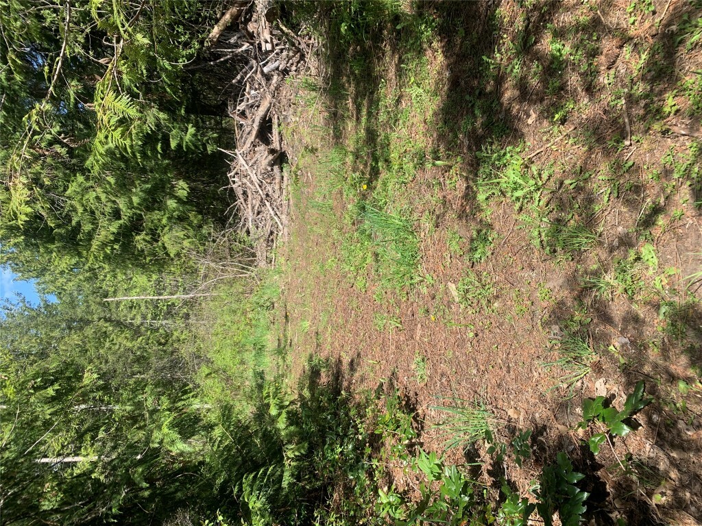 Property Photo: Lot A Squilax-Anglemont Road BC V0E 1M4
