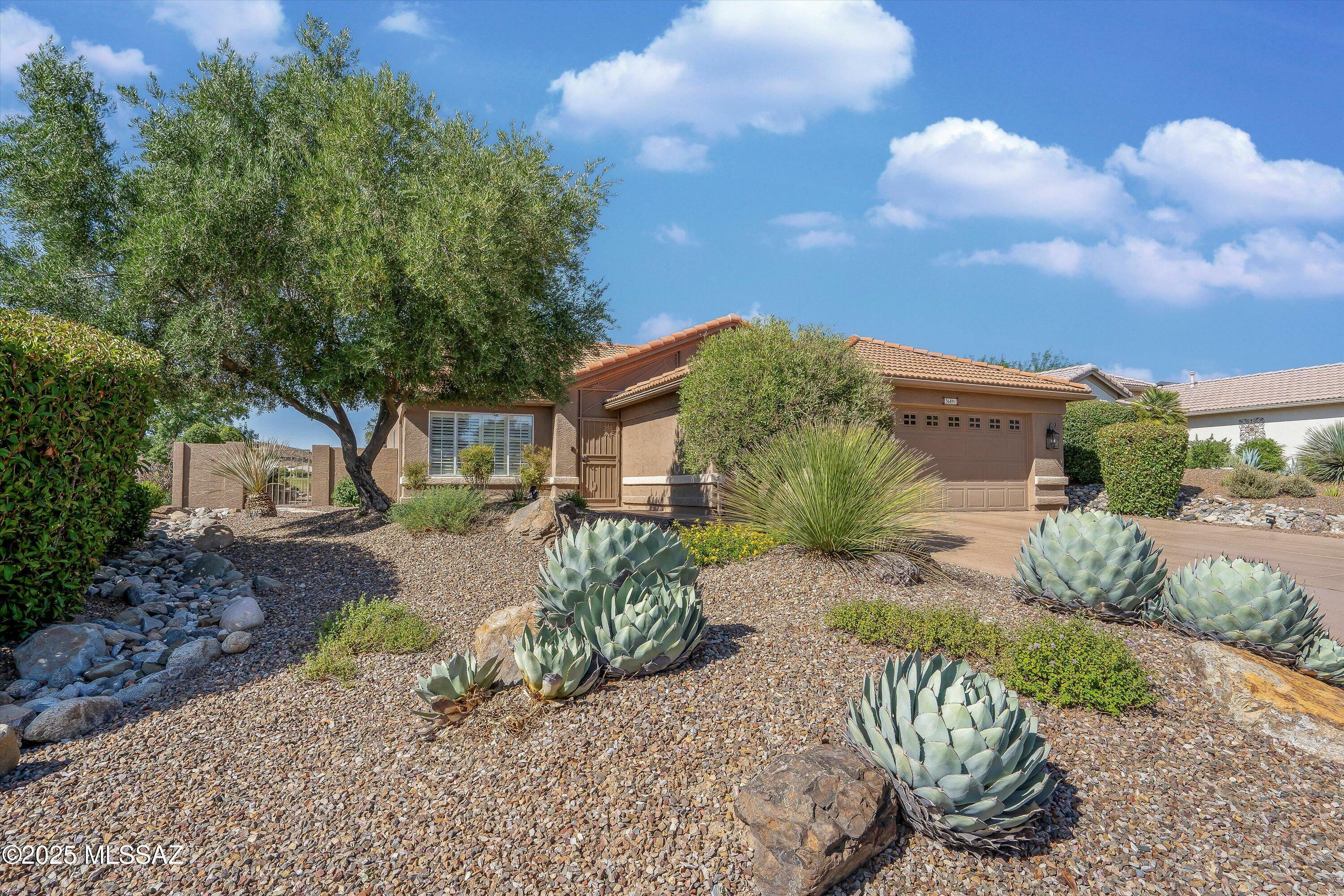 36891 S Ridgeview Boulevard  Tucson AZ 85739 photo