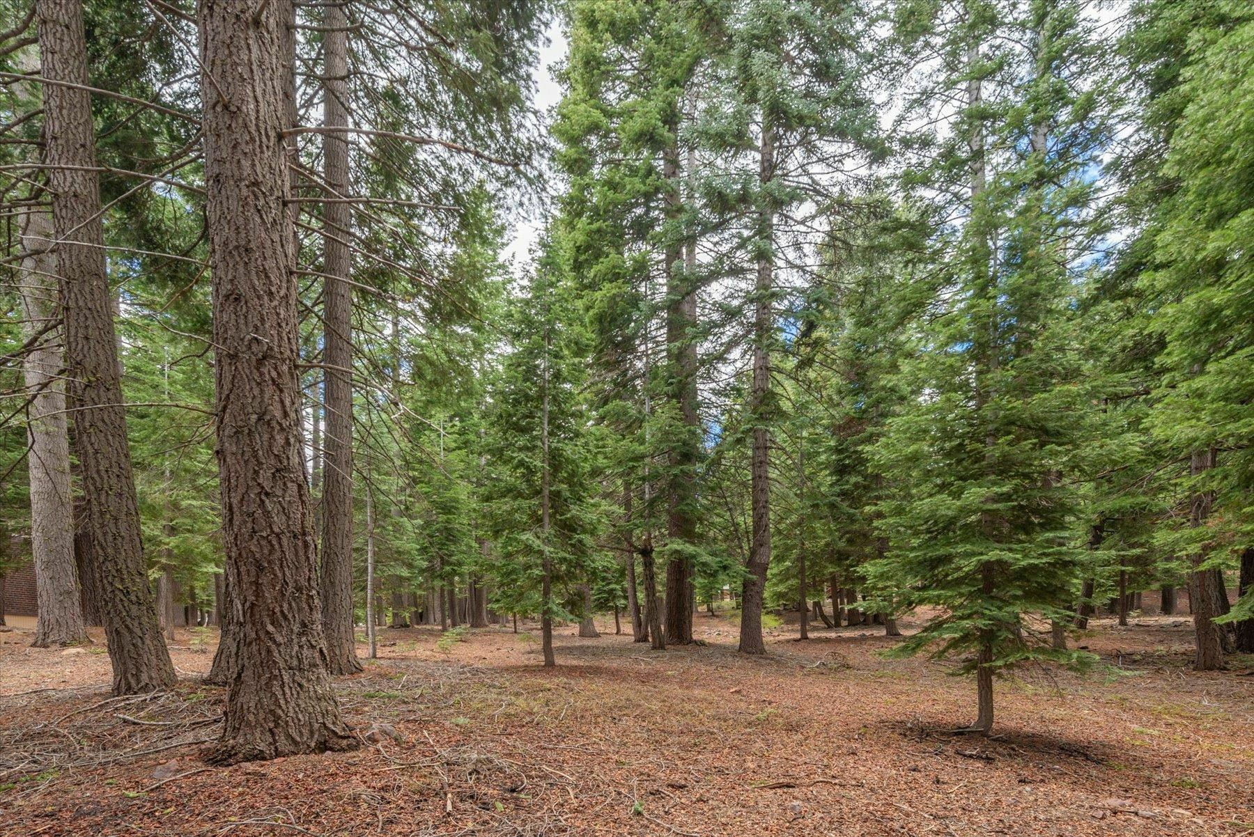 Property Photo: 10986 Innsbruck Avenue CA 96161