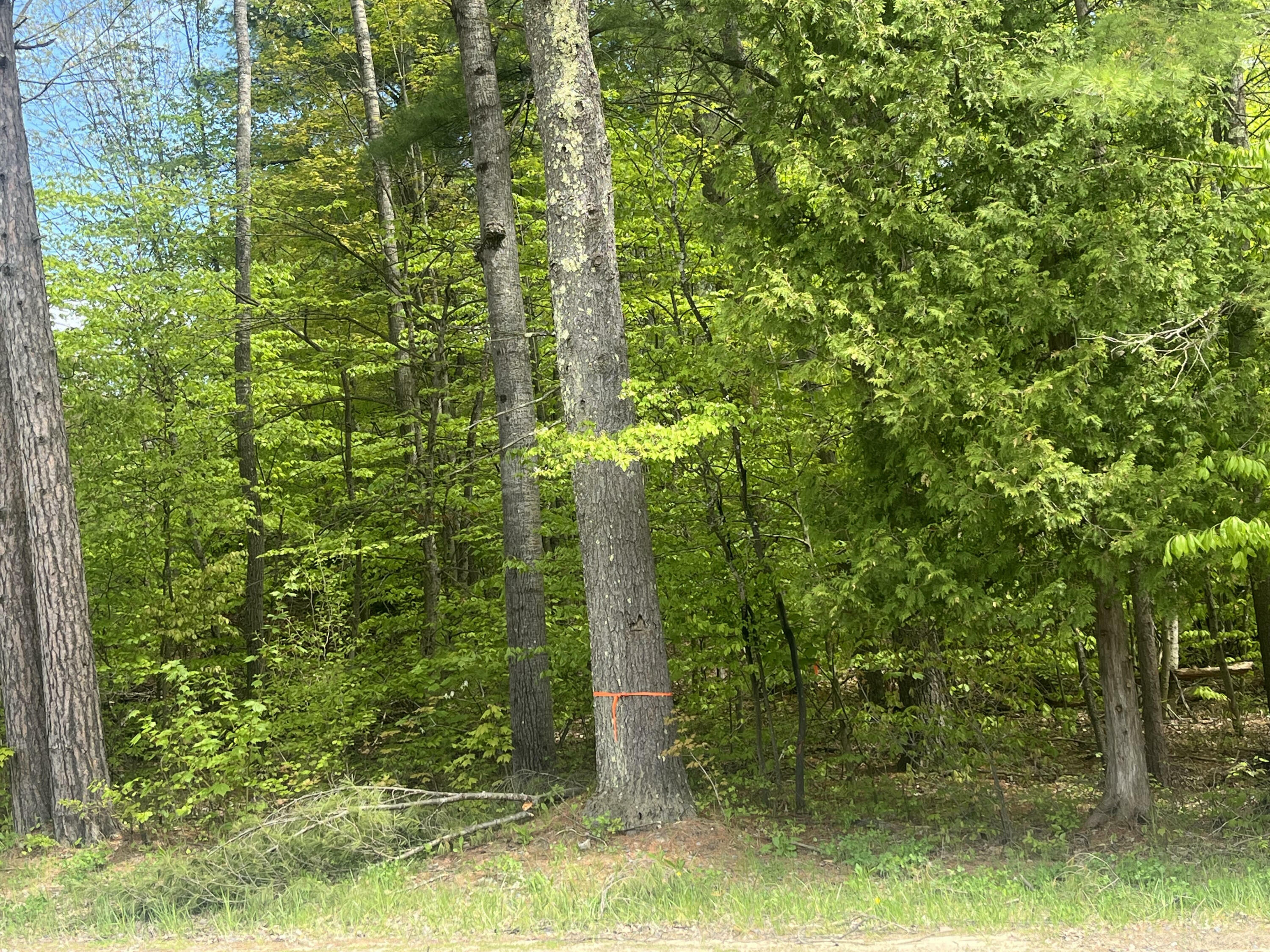 Property Photo:  00 Trudeau Road  NY 12918 